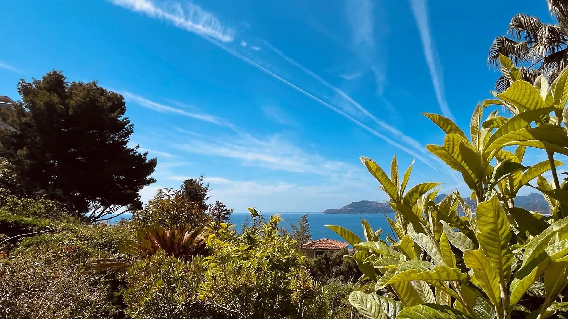 Apartment Appart Cannes Residence Piscine-Parc-Tennis